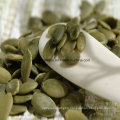 Pumpkin Seeds Kernels, Wgs Best Price